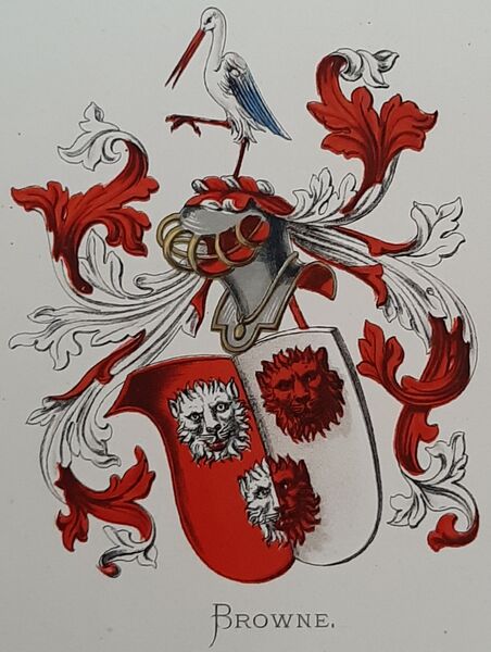 Bestand:Browne.vor.jpg
