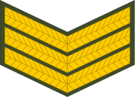 Bestand:Zimbabwe-Army-OR-6.svg