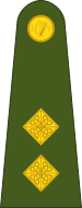 Bestand:Ireland-Army-OF-1b.svg