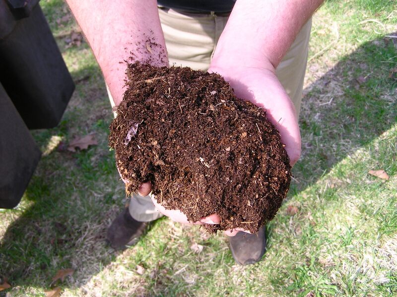 Bestand:Compost-dirt.jpg