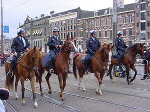 Mounted PoliceNetherlands.jpg
