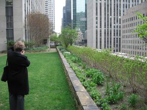 Rockefeller 2007.jpg