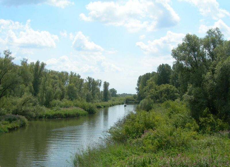 Bestand:In de Biesbosch 4.jpg