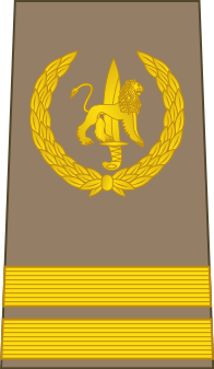 Bestand:04-ROCongo Army-SGT.svg