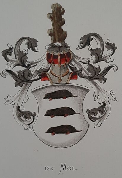 Bestand:Mol1.vor.jpg