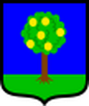 Heraldic Shield Natural.svg