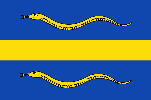 Bestand:Pijnacker-Nootdorp vlag.svg