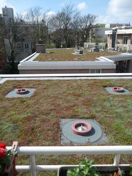 Bestand:Groendak Halvewereld.jpg