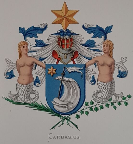 Bestand:Carbasius.vor.jpg