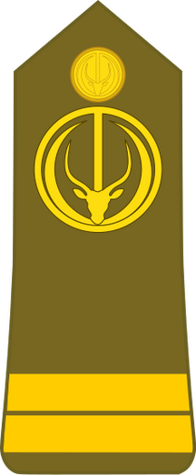 Bestand:Chad-Army-OF-1b.svg