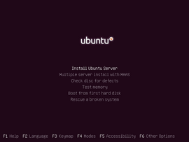 Installatie van Ubuntu Server 12.04 (2012)