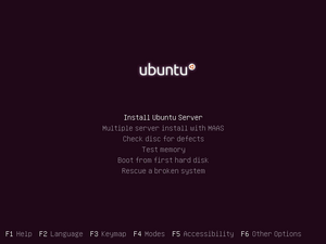 Ubuntu 12-04 Server Installation.png