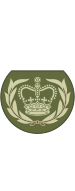 Bestand:British Army OR-8b.svg