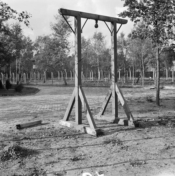 Bestand:Nazi Persecution B11680.jpg